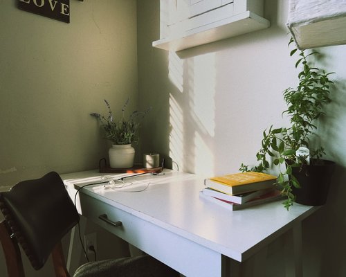 A clean, organized desk workspace with a small indoor plant